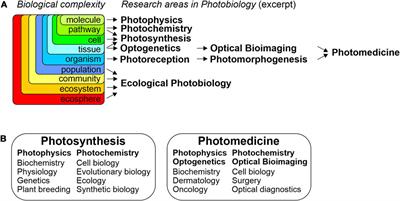 Photobiology: introduction, overview and challenges